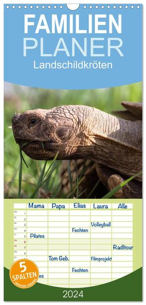 Familienplaner 2024 – Landschildkröten mit 5 Spalten (Wandkalender, 21 x 45 cm) CALVENDO von Sixt,  Marion