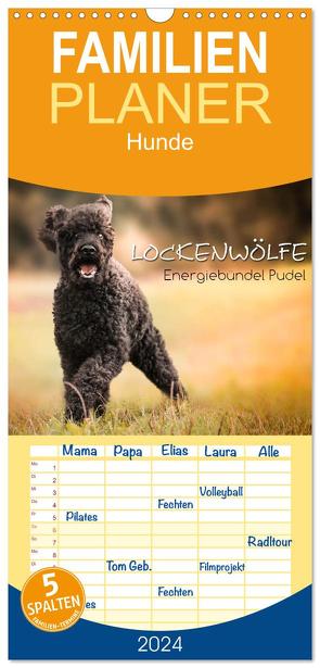 Familienplaner 2024 – Lockenwölfe – Energiebündel Pudel mit 5 Spalten (Wandkalender, 21 x 45 cm) CALVENDO von Hollstein,  Alexandra