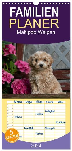 Familienplaner 2024 – Maltipoo Welpen mit 5 Spalten (Wandkalender, 21 x 45 cm) CALVENDO von Schultz,  Tanja