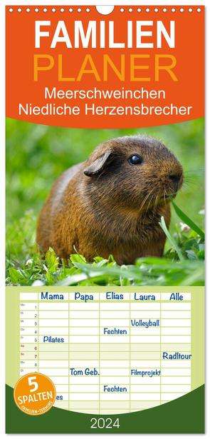 Familienplaner 2024 – Meerschweinchen Niedliche Herzensbrecher mit 5 Spalten (Wandkalender, 21 x 45 cm) CALVENDO von Stanzer,  Elisabeth