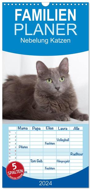 Familienplaner 2024 – Nebelung Katzen mit 5 Spalten (Wandkalender, 21 x 45 cm) CALVENDO von Verena Scholze,  Fotodesign