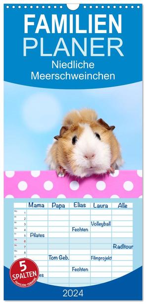 Familienplaner 2024 – Niedliche Meerschweinchen mit 5 Spalten (Wandkalender, 21 x 45 cm) CALVENDO von Hutfluss,  Jeanette