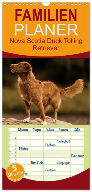 Familienplaner 2024 – Nova Scotia Duck Tolling Retriever mit 5 Spalten (Wandkalender, 21 x 45 cm) CALVENDO von Müller Hundefotowerk,  Beatrice