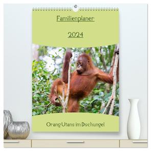 Familienplaner 2024 – Orang Utans im Dschungel (hochwertiger Premium Wandkalender 2024 DIN A2 hoch), Kunstdruck in Hochglanz von Heiss Photography,  Daniel