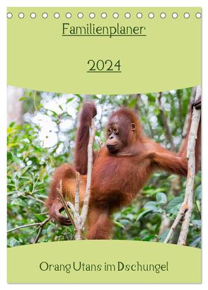 Familienplaner 2024 – Orang Utans im Dschungel (Tischkalender 2024 DIN A5 hoch), CALVENDO Monatskalender von Heiss Photography,  Daniel