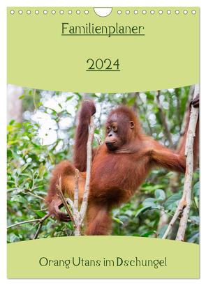 Familienplaner 2024 – Orang Utans im Dschungel (Wandkalender 2024 DIN A4 hoch), CALVENDO Monatskalender von Heiss Photography,  Daniel