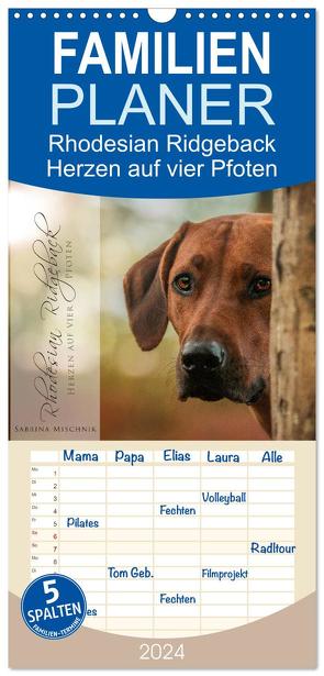 Familienplaner 2024 – Rhodesian Ridgeback – Herzen auf vier Pfoten mit 5 Spalten (Wandkalender, 21 x 45 cm) CALVENDO von Mischnik,  Sabrina