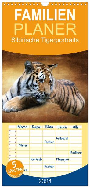 Familienplaner 2024 – Sibirische Tigerportraits mit 5 Spalten (Wandkalender, 21 x 45 cm) CALVENDO von Hultsch,  Heike