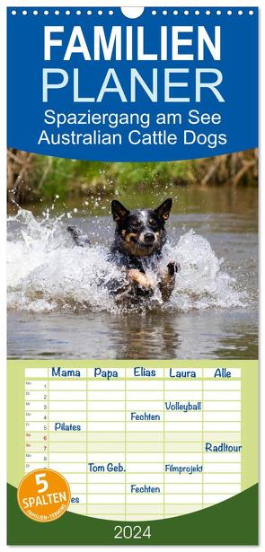 Familienplaner 2024 – Spaziergang am See Australian Cattle Dogs mit 5 Spalten (Wandkalender, 21 x 45 cm) CALVENDO von Verena Scholze,  Fotodesign