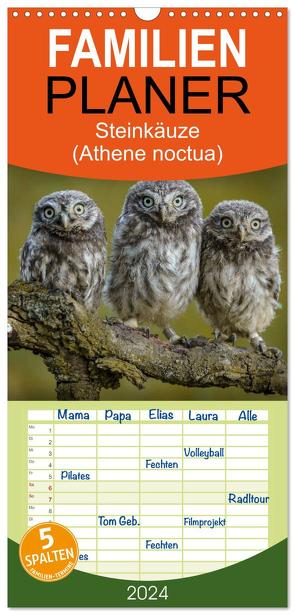 Familienplaner 2024 – Steinkäuze (Athene noctua) mit 5 Spalten (Wandkalender, 21 x 45 cm) CALVENDO von Rusch,  Winfried