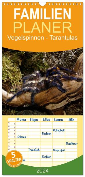 Familienplaner 2024 – Vogelspinnen – Tarantulas mit 5 Spalten (Wandkalender, 21 x 45 cm) CALVENDO von Trapp,  Benny