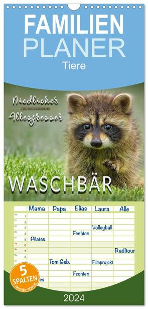 Familienplaner 2024 – Waschbär – Niedlicher Allesfresser mit 5 Spalten (Wandkalender, 21 x 45 cm) CALVENDO von Roder,  Peter