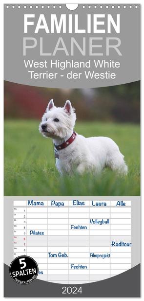 Familienplaner 2024 – West Highland White Terrier – Selbstbewustes Powerpaket – der Westie mit 5 Spalten (Wandkalender, 21 x 45 cm) CALVENDO von Mielewczyk,  Barbara