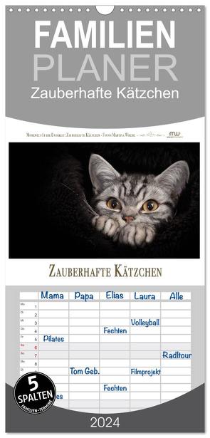 Familienplaner 2024 – Zauberhafte Kätzchen mit 5 Spalten (Wandkalender, 21 x 45 cm) CALVENDO von Wrede,  Martina