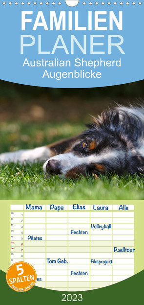 Familienplaner Australian Shepherd – Augenblicke (Wandkalender 2023 , 21 cm x 45 cm, hoch) von Andrey,  David