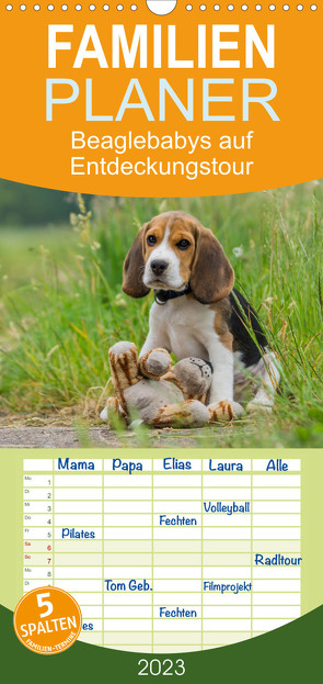 Familienplaner Beaglebabys auf Entdeckungstour (Wandkalender 2023 , 21 cm x 45 cm, hoch) von Teßen,  Sonja