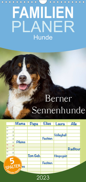 Familienplaner Berner Sennenhunde (Wandkalender 2023 , 21 cm x 45 cm, hoch) von Noack,  Nicole