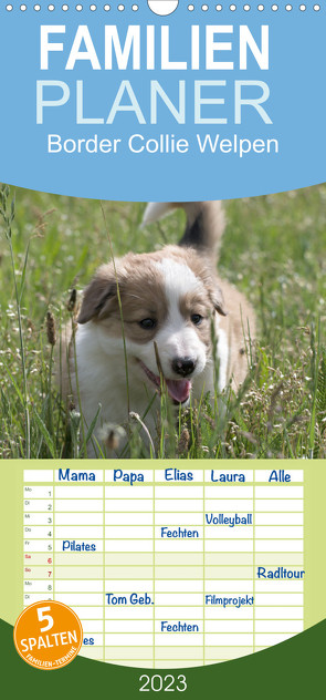 Familienplaner Border Collie Welpen – Kleine Wirbelwinde zum Verlieben (Wandkalender 2023 , 21 cm x 45 cm, hoch) von Neitmann,  Volko