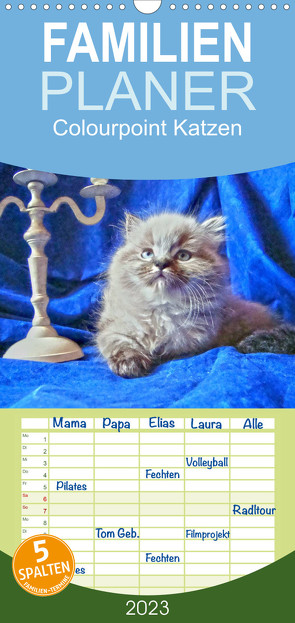 Familienplaner Colourpoint Katzen (Wandkalender 2023 , 21 cm x 45 cm, hoch) von Säume,  Sylvia