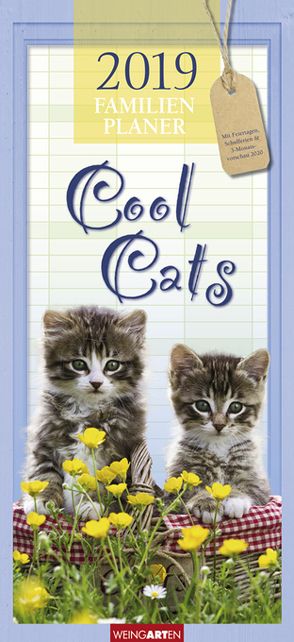 Familienplaner Cool Cats – Kalender 2019 von Weingarten