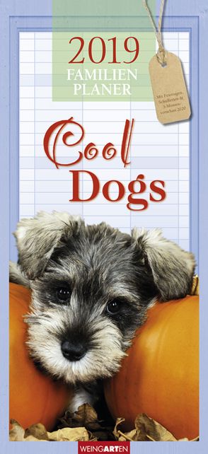 Familienplaner Cool Dogs – Kalender 2019 von Weingarten