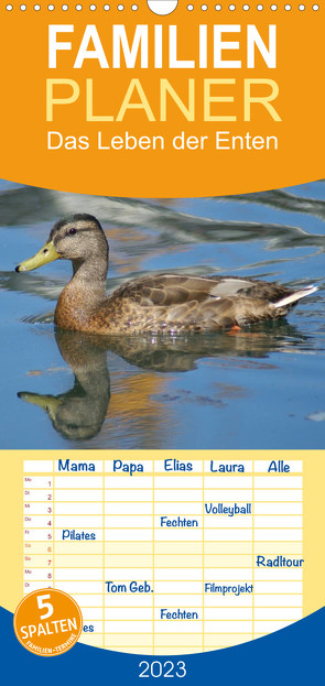 Familienplaner Das Leben der Enten (Wandkalender 2023 , 21 cm x 45 cm, hoch) von kattobello