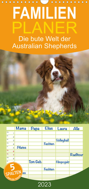 Familienplaner DIE BUNTE WELT DER AUSTRALIAN SHEPHERDS (Wandkalender 2023 , 21 cm x 45 cm, hoch) von Mirsberger tierpfoto,  Annett