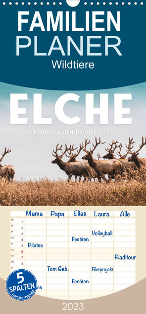 Familienplaner Elche – Die imposanten Trughirsche. (Wandkalender 2023 , 21 cm x 45 cm, hoch) von SF