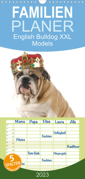 Familienplaner English Bulldog XXL Models (Wandkalender 2023 , 21 cm x 45 cm, hoch) von Stanzer,  Elisabeth