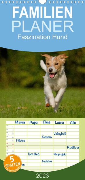 Familienplaner Faszination Hund (Wandkalender 2023 , 21 cm x 45 cm, hoch) von Bischof,  Melanie, Bischof,  Tierfotografie