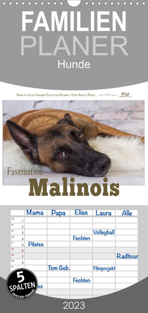 Familienplaner Faszination Malinois (Wandkalender 2023 , 21 cm x 45 cm, hoch) von Wrede,  Martina