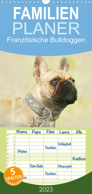 Familienplaner Französische Bulldoggen 2023 (Wandkalender 2023 , 21 cm x 45 cm, hoch) von Redecker,  Andrea