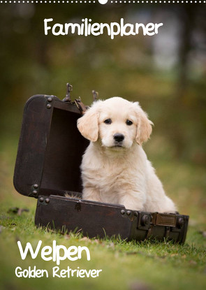 Familienplaner: Golden Retriever Welpen (Wandkalender 2022 DIN A2 hoch) von Auerbach,  Anna