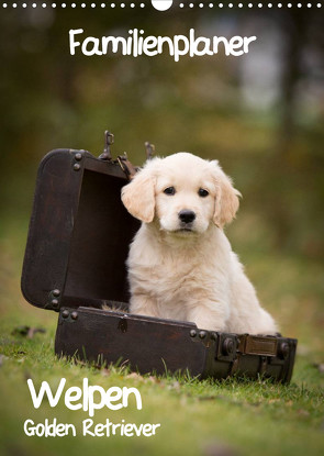 Familienplaner: Golden Retriever Welpen (Wandkalender 2022 DIN A3 hoch) von Auerbach,  Anna