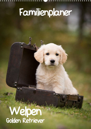 Familienplaner: Golden Retriever Welpen (Wandkalender 2023 DIN A2 hoch) von Auerbach,  Anna