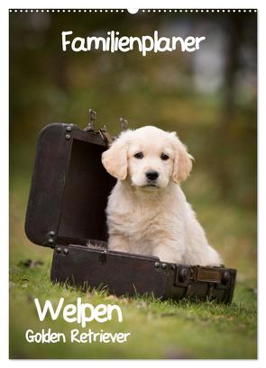 Familienplaner: Golden Retriever Welpen (Wandkalender 2024 DIN A2 hoch), CALVENDO Monatskalender von Auerbach,  Anna