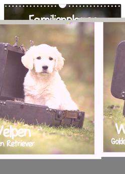 Familienplaner: Golden Retriever Welpen (Wandkalender 2024 DIN A3 hoch), CALVENDO Monatskalender von Auerbach,  Anna