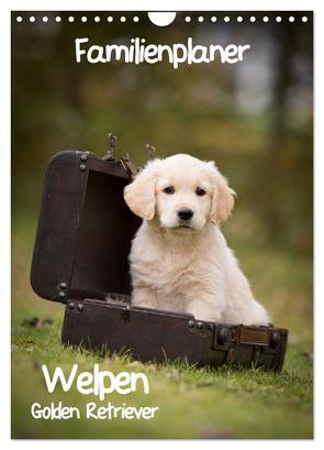 Familienplaner: Golden Retriever Welpen (Wandkalender 2024 DIN A4 hoch), CALVENDO Monatskalender von Auerbach,  Anna