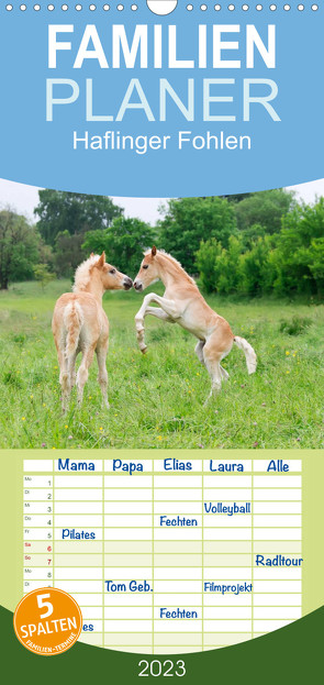 Familienplaner Haflinger Fohlen (Wandkalender 2023 , 21 cm x 45 cm, hoch) von Menden,  Katho