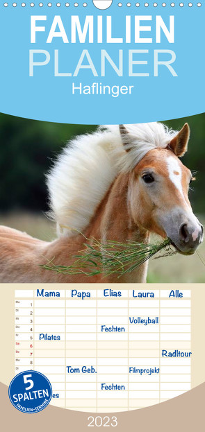 Familienplaner Haflinger (Wandkalender 2023 , 21 cm x 45 cm, hoch) von Noack,  Nicole