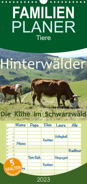 Familienplaner Hinterwälder – Die Kühe aus dem Schwarzwald (Wandkalender 2023 , 21 cm x 45 cm, hoch) von Goldscheider,  Stefanie