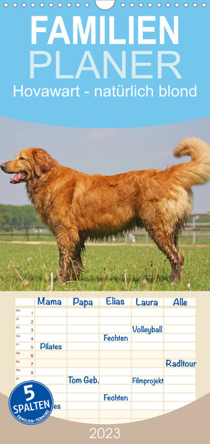 Familienplaner Hovawart – natürlich blond (Wandkalender 2023 , 21 cm x 45 cm, hoch) von Mielewczyk,  Barbara