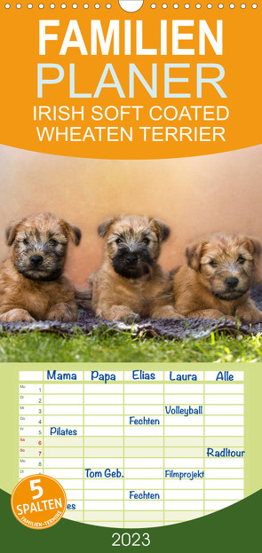 Familienplaner IRISH SOFT COATED WHEATEN TERRIER (Wandkalender 2023 , 21 cm x 45 cm, hoch) von Mirsberger www.tierpfoto.de,  Annett