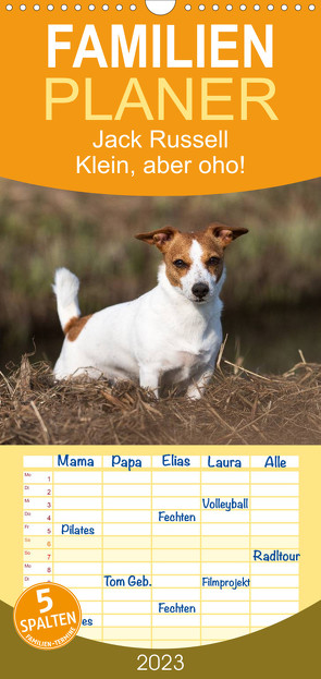 Familienplaner Jack Russell – Klein, aber oho! (Wandkalender 2023 , 21 cm x 45 cm, hoch) von Mirsberger tierpfoto.de,  Annett