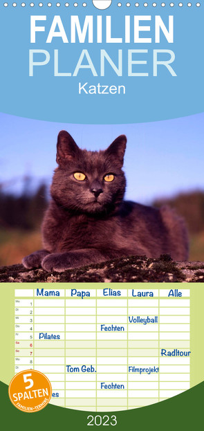 Familienplaner Katzen (Wandkalender 2023 , 21 cm x 45 cm, hoch) von / Werner Layer,  McPHOTO