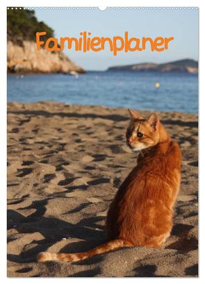 Familienplaner Katzen (Wandkalender 2024 DIN A2 hoch), CALVENDO Monatskalender von Lindert-Rottke,  Antje