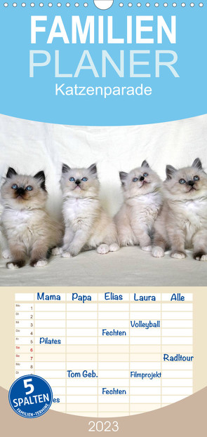 Familienplaner Katzenparade (Wandkalender 2023 , 21 cm x 45 cm, hoch) von Chrystal,  Jennifer