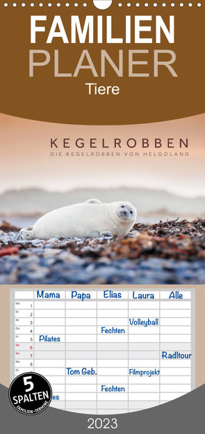 Familienplaner Kegelrobben – Die Kegelrobben von Helgoland (Wandkalender 2023 , 21 cm x 45 cm, hoch) von Jackson,  Lain