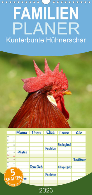 Familienplaner Kunterbunte Hühnerschar (Wandkalender 2023 , 21 cm x 45 cm, hoch) von kattobello