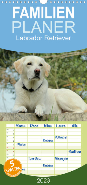 Familienplaner Labrador Retriever 2023 (Wandkalender 2023 , 21 cm x 45 cm, hoch) von Schreuer,  Anita